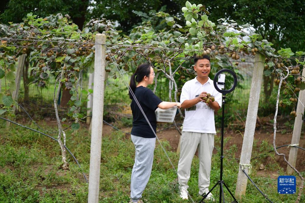 菠菜赚钱平台